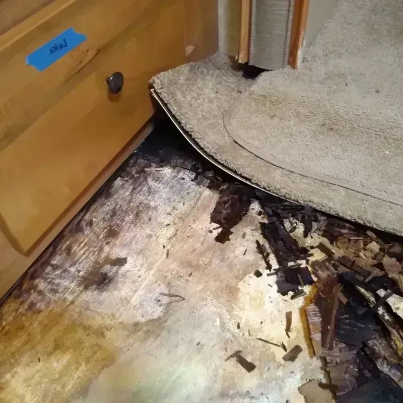 Wood Floor Water Damage in Monroe County, TN